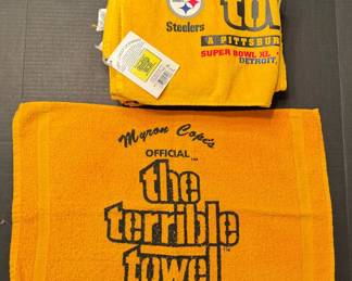 Six Pittsburg Steelers Terrible Towls