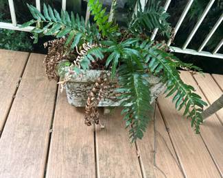 Planters 
