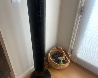 Fan