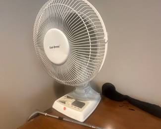 Fan 