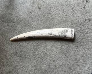 Scrimshaw tusk