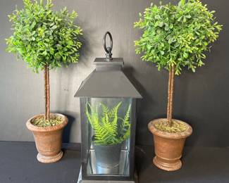 Topiaries & lantern decor