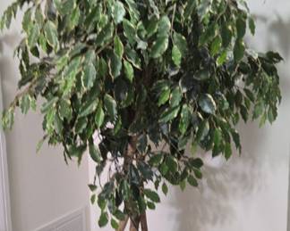 Faux ficus tree