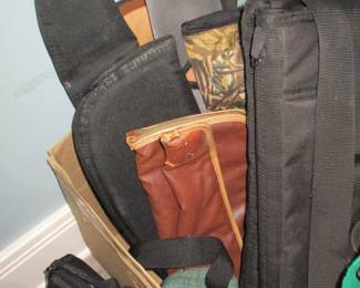 gun cases