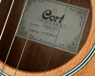 Guitar