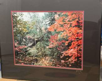 Fall Scene by J Miles Wolf signed numbered