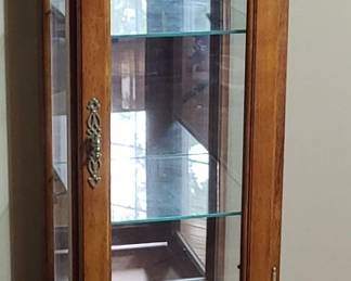 Contemporary Glass Encased Curio Cabinet