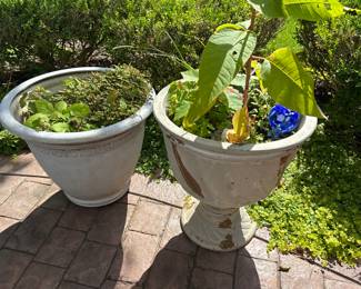 Many Outdoor Pots