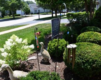 446Front Yard