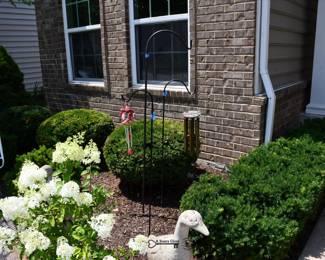 445Front Yard