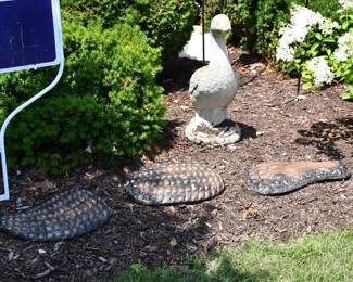 447Front Yard