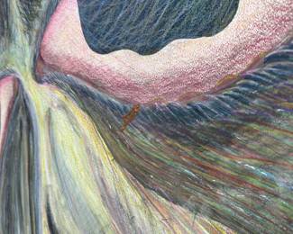 Brown aberration under eye  
