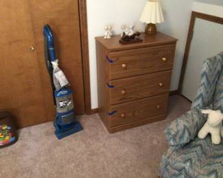 Shark vacuum