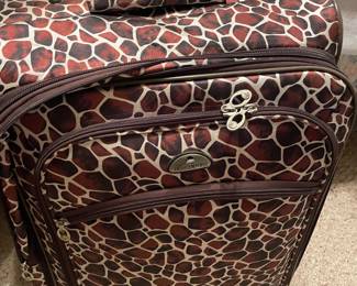 Luggage and carry bags