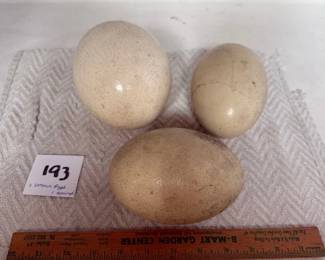 Ostrich Eggs