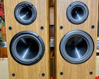 Infinity Speakers