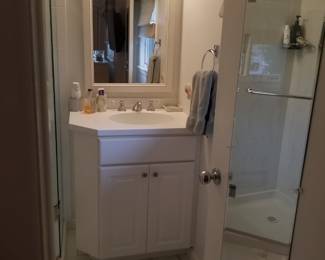 Bath vanity; vanity mirror; glass shower door