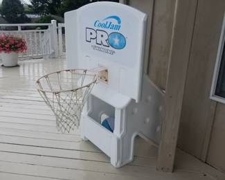 Pool basketball