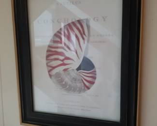 Shell art