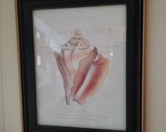 Shell art