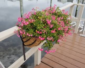 Annuals in baskets