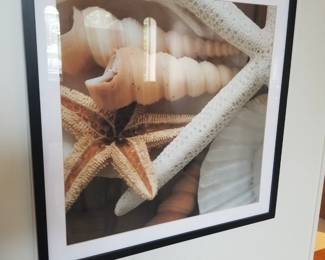 Shell art