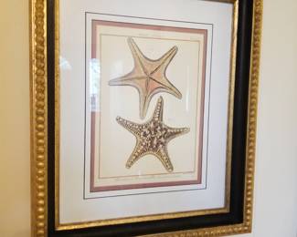 Starfish art