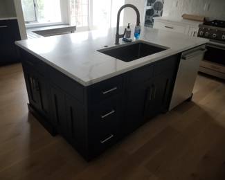 Island detail: sink, faucet, disposal; BOSCH dishwasher. Cabinetry by CABICO