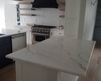 U-shaped kitchen with island, peninsula & wet bar. Cabinetry by CABICO