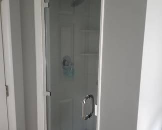 Glass shower door