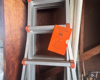 Little Giant Ladder