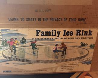 Family Ice Rink
