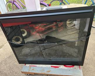 Fireplace Insert w/ Remote