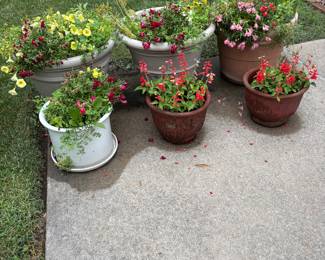 Great pots of flowers - you move