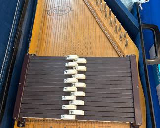 Auto Harp by Oscar Schmidt