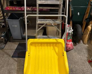 Snow Scraper/Sledder