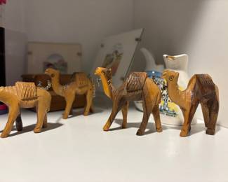 Camels from Nigeria