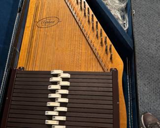 Auto Harp in case by Oscar Schmidt