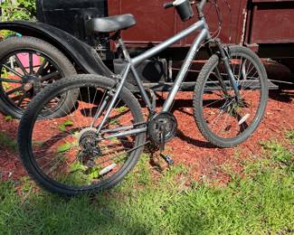 Roadmaster Quarry Ridge Mountain Bike
