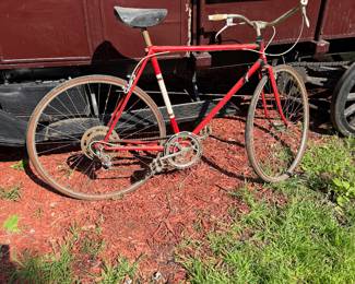 Arctic 10 Speed Bicycle