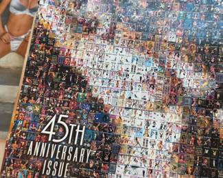 large collection of vintage playboy from the late 80’s to 2000s.