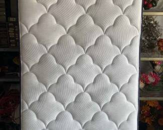 Twin Size Mattress