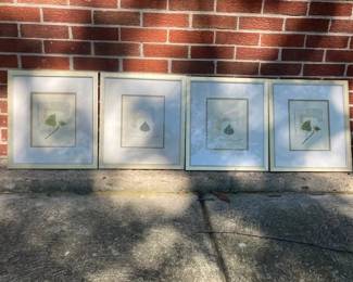 Botanical prints, 15" x 13"