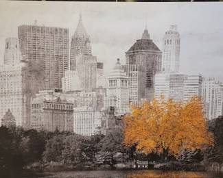 5' x 45"