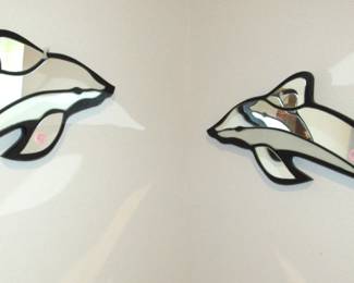 Dolphin mirrors