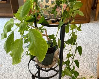 Wrought iron tiered plant stand