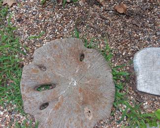 Sanddollar Cement stepping stone