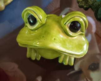 Rare Arnell Frog