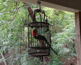 Iron Bird Cage