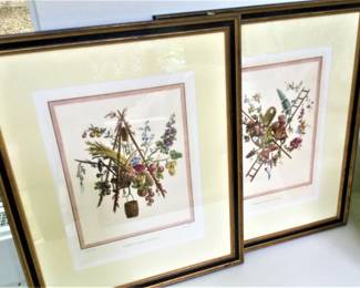 Vintage Botanical Prints